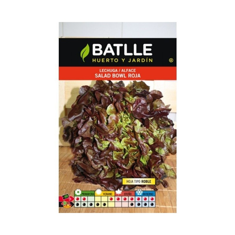 lechuga salad bolw rossa