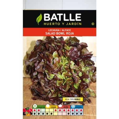 lechuga salad bolw rossa