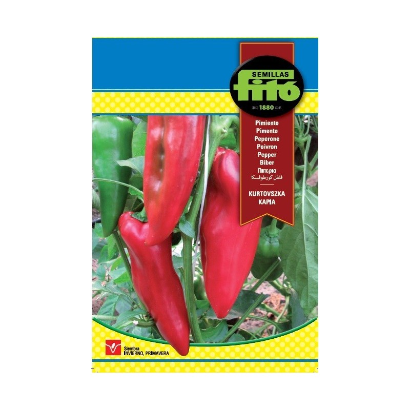 pimiento kurtovska kapija