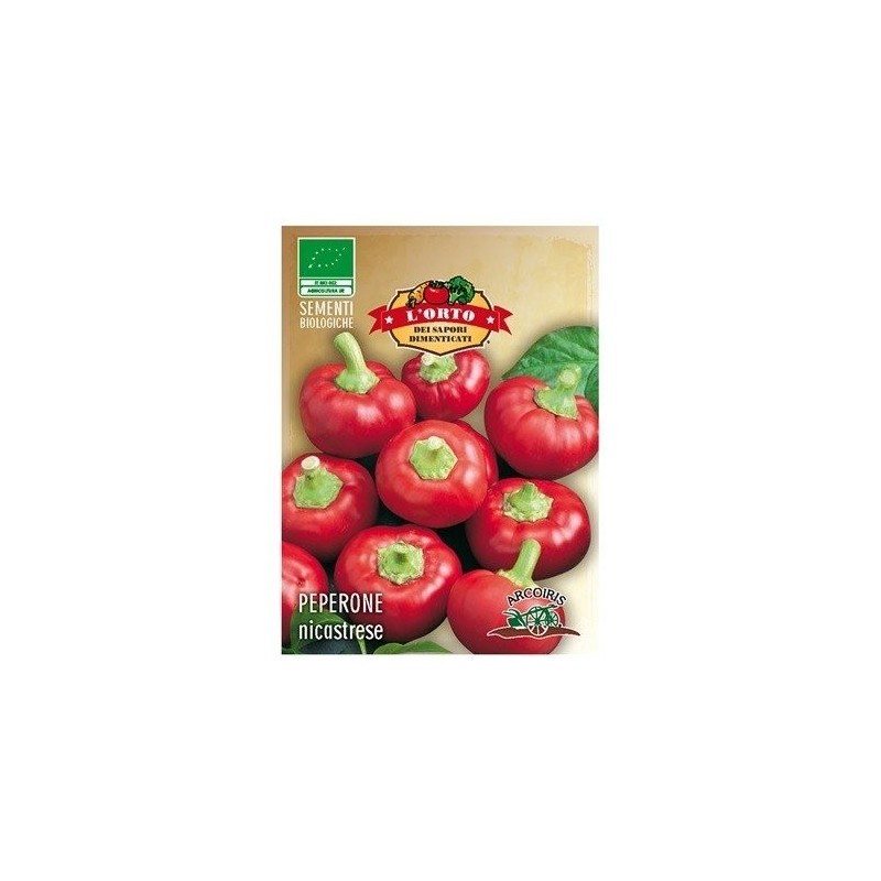 pimiento nicastrese (semillas ecolÃ³gicas)