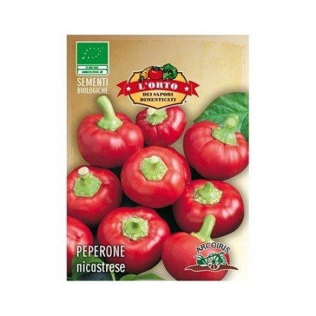 pimiento nicastrese (semillas ecolÃ³gicas)