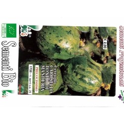 pepino carosello de Manduria - semillas ecolÃ³gicas