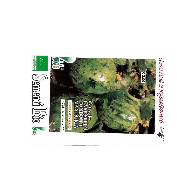 pepino carosello de Manduria - semillas ecolÃ³gicas