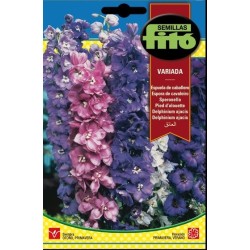 espuela de caballero variada (delphinium ajacis)