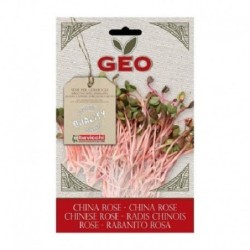 rabanito chino rosa para germinar geo