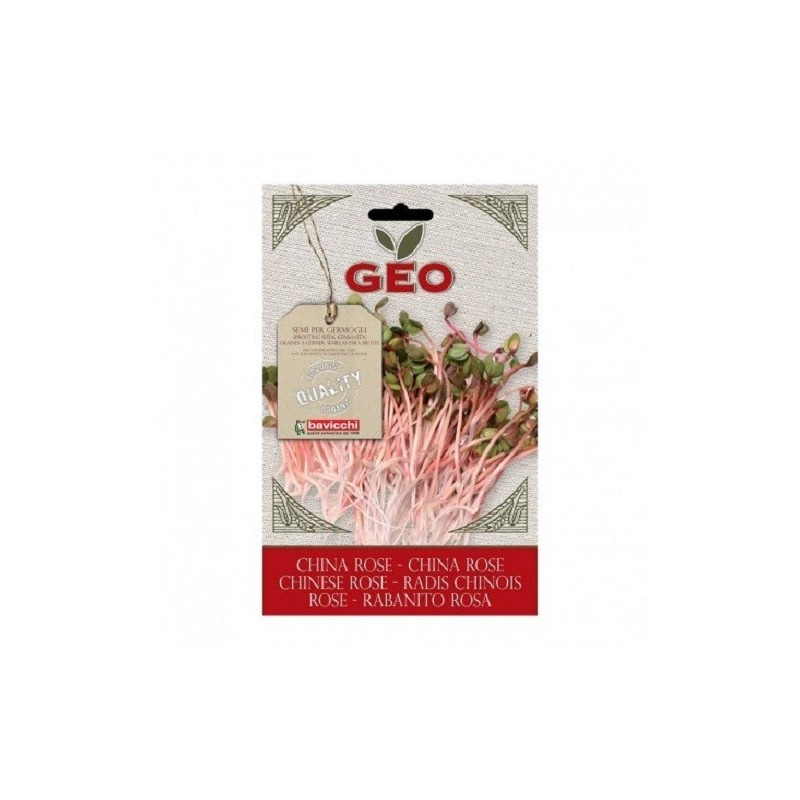 rabanito chino rosa para germinar geo