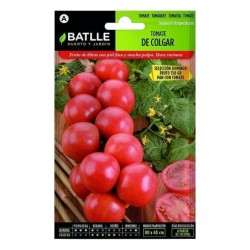 tomate de colgar Domingo