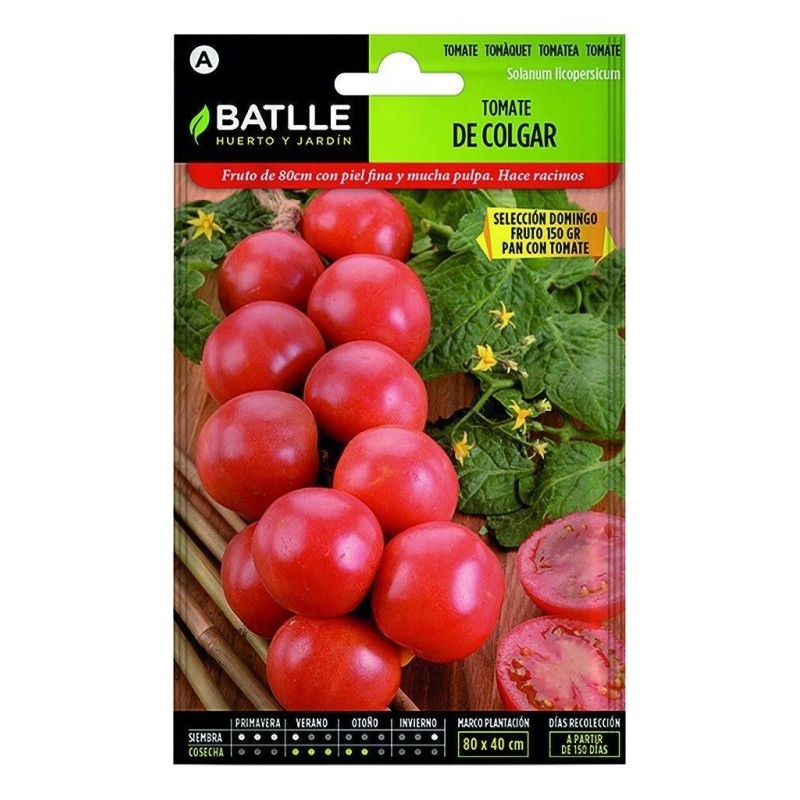 tomate de colgar Domingo