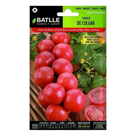 tomate de colgar Domingo