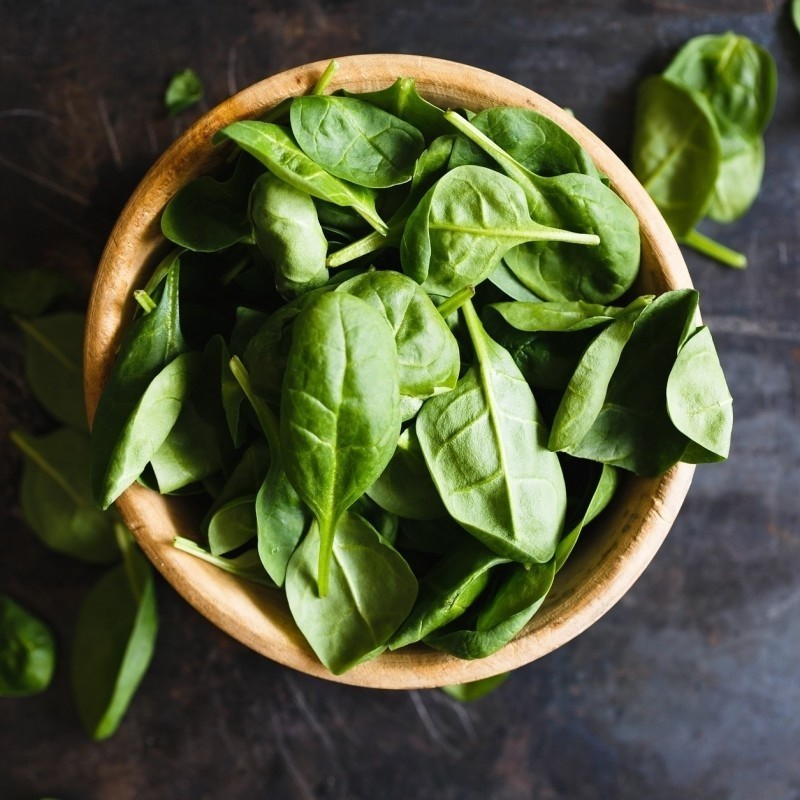 espinaca matador - semillas no tratadas