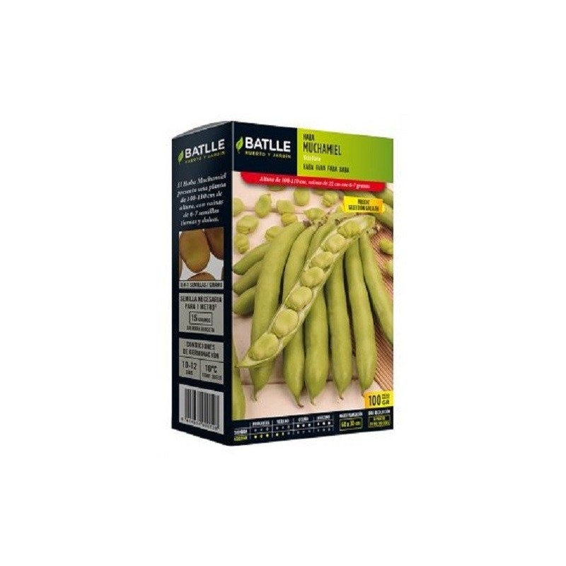 haba Muchamiel sel Goliath