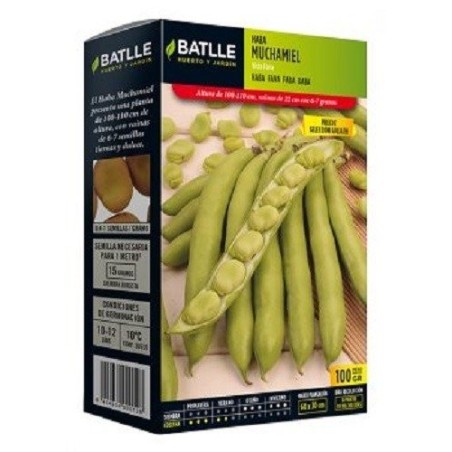 haba Muchamiel sel Goliath