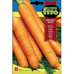 zanahoria nantesa 5 - coral