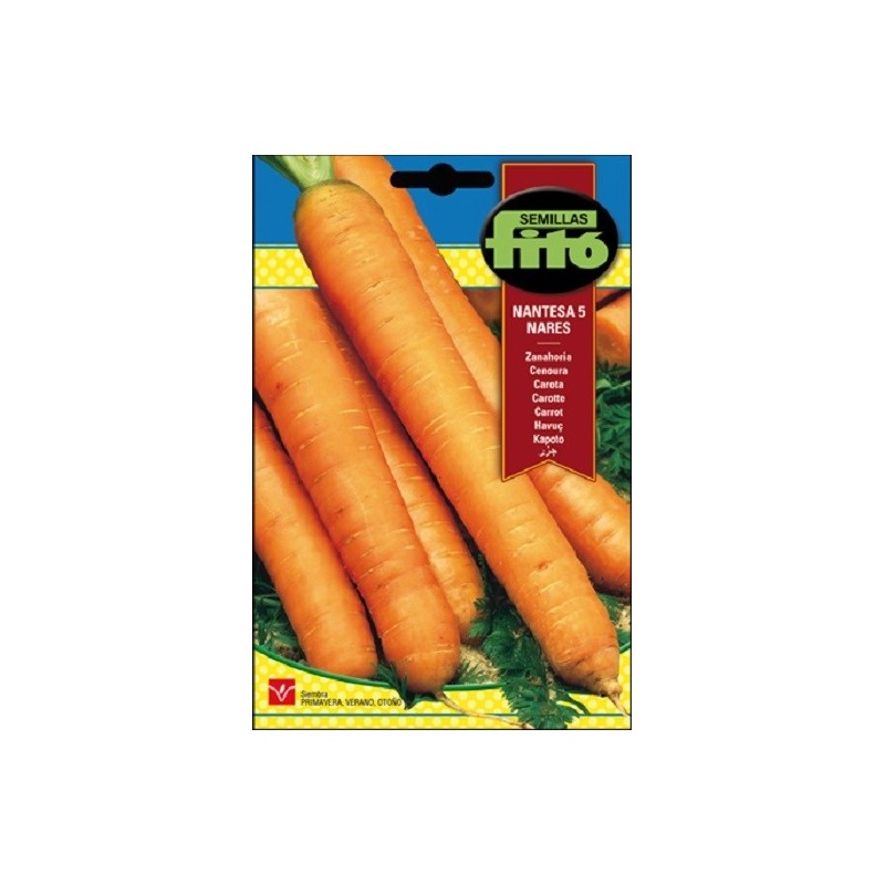 zanahoria nantesa 5 - coral