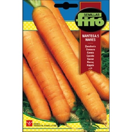 zanahoria nantesa 5 - coral