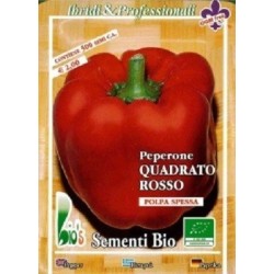 pimiento rojo cuadrado (semillas ecolÃ³gicas)