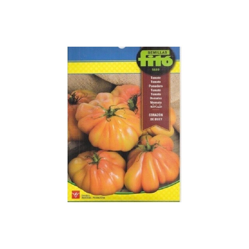 tomate corazÃ³n de buey - semillas Fito