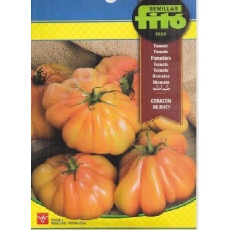 tomate corazÃ³n de buey - semillas Fito