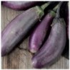 Berenjena Slim Jim - semillas no tratadas