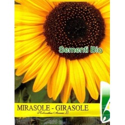 semillas ecolÃ³gicas de girasol bioseme