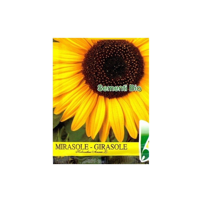 semillas ecolÃ³gicas de girasol bioseme