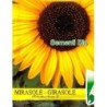 semillas ecolÃ³gicas de girasol bioseme