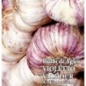 ajo de siembra morado Valdour - ecologico