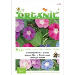 don Diego de dia (Ipomoea tricolor) semillas ecologicas