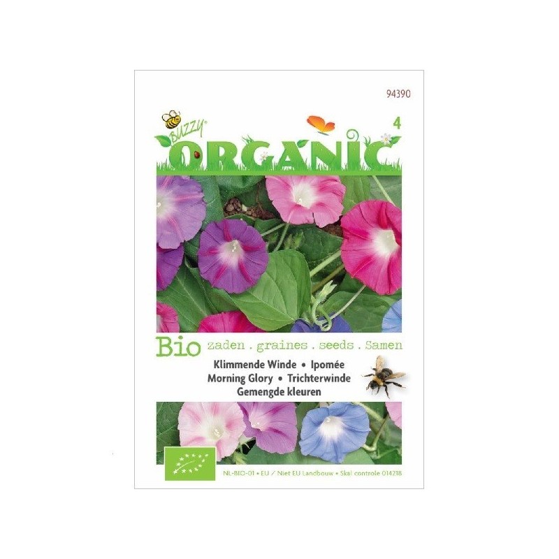 don Diego de dia (Ipomoea tricolor) semillas ecologicas