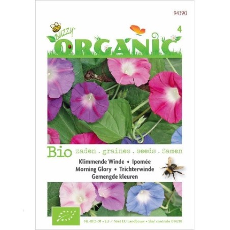 don Diego de dia (Ipomoea tricolor) semillas ecologicas