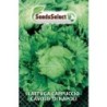 lechuga cavolo di Napoli