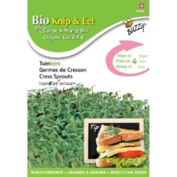 germinados de berro ecolÃ³gicos