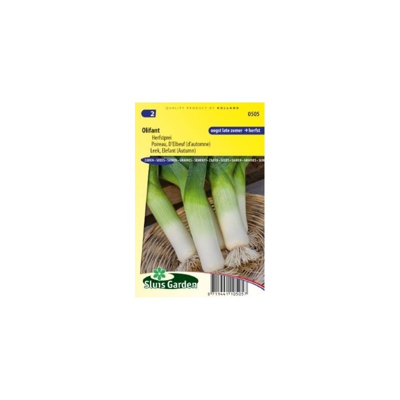 puerro Elefant