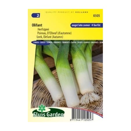 puerro Elefant