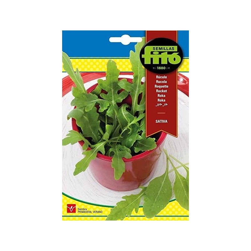 rucula cultivada - semillas fito