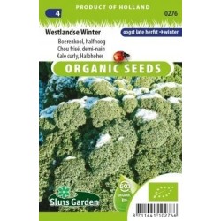 kale halbhoher (semillas ecologicas)