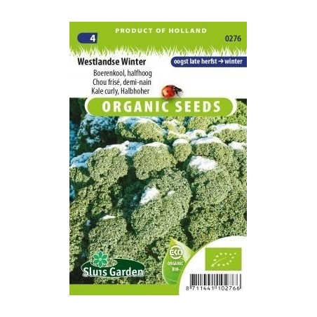 kale halbhoher (semillas ecologicas)