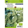 kale halbhoher (semillas ecologicas)