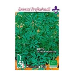 ruda (rutha graveolens) - semillas ecologicas