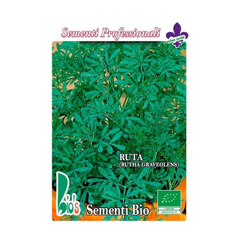 ruda (rutha graveolens) - semillas ecologicas