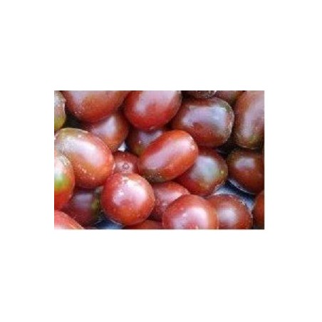 tomate ciruela negra (semillas no tratadas)