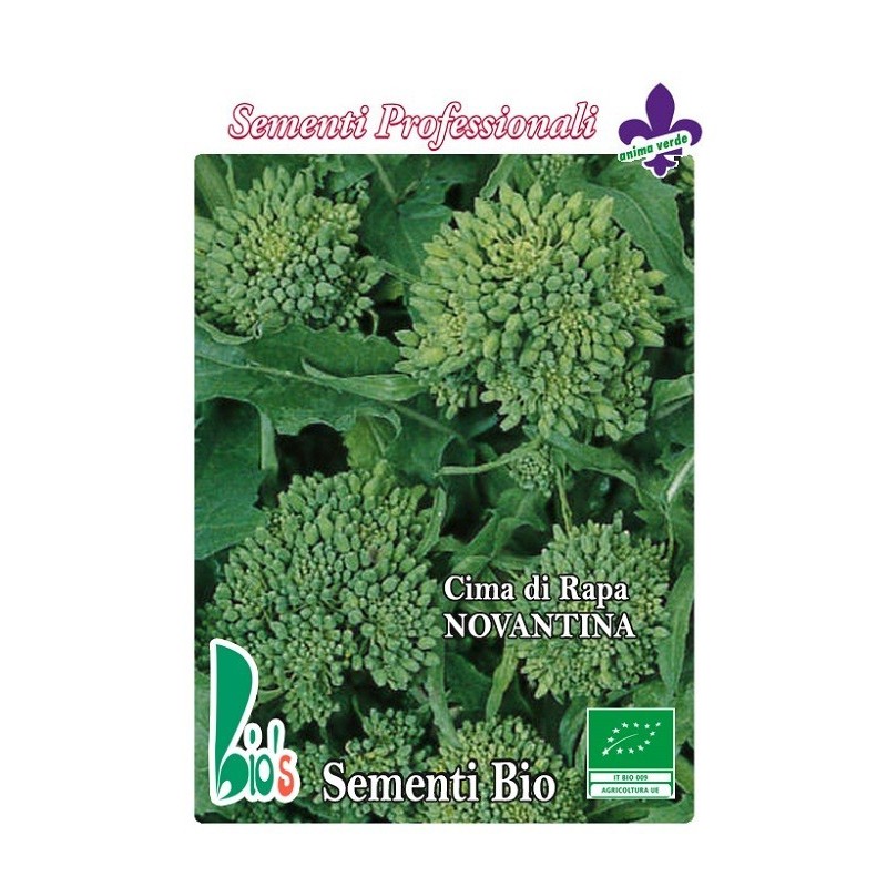 brocoli rapa novantino- semillas ecolÃ³gicas