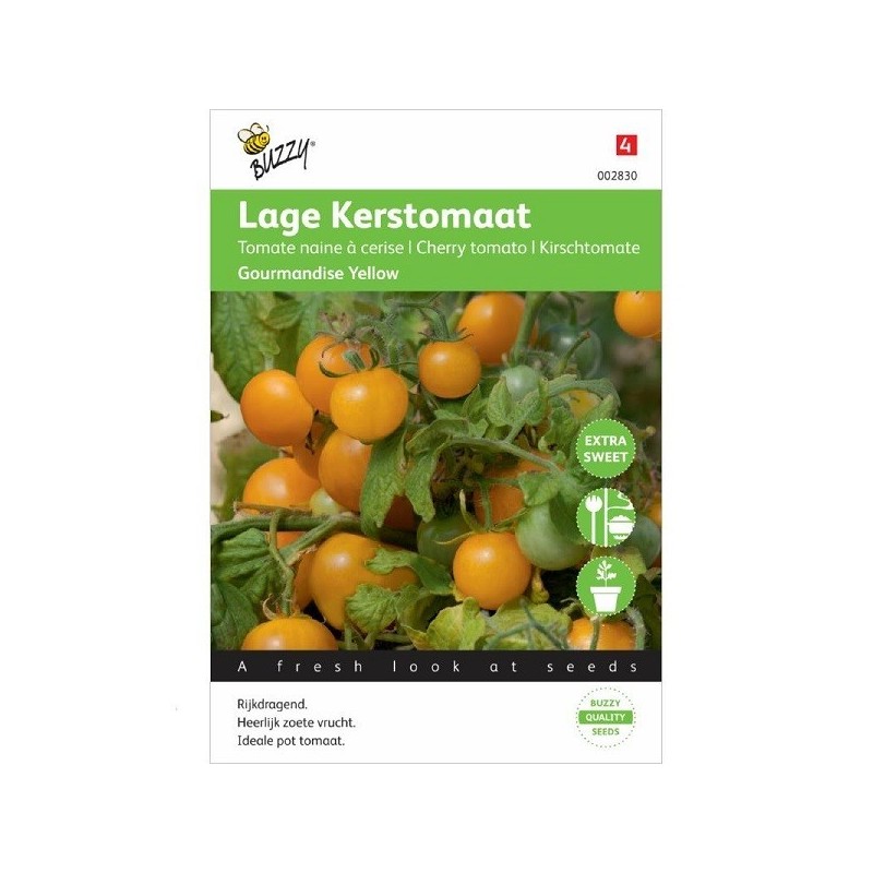 tomate gourmandise amarillo