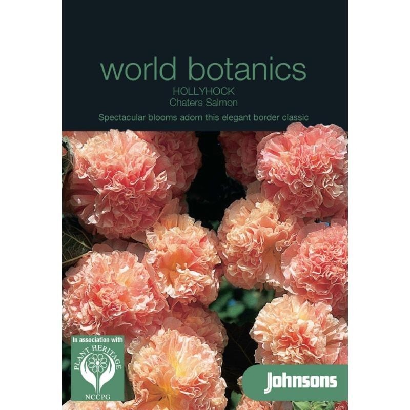 malva- Hollyhock Chaters Salmon