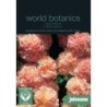 malva- Hollyhock Chaters Salmon