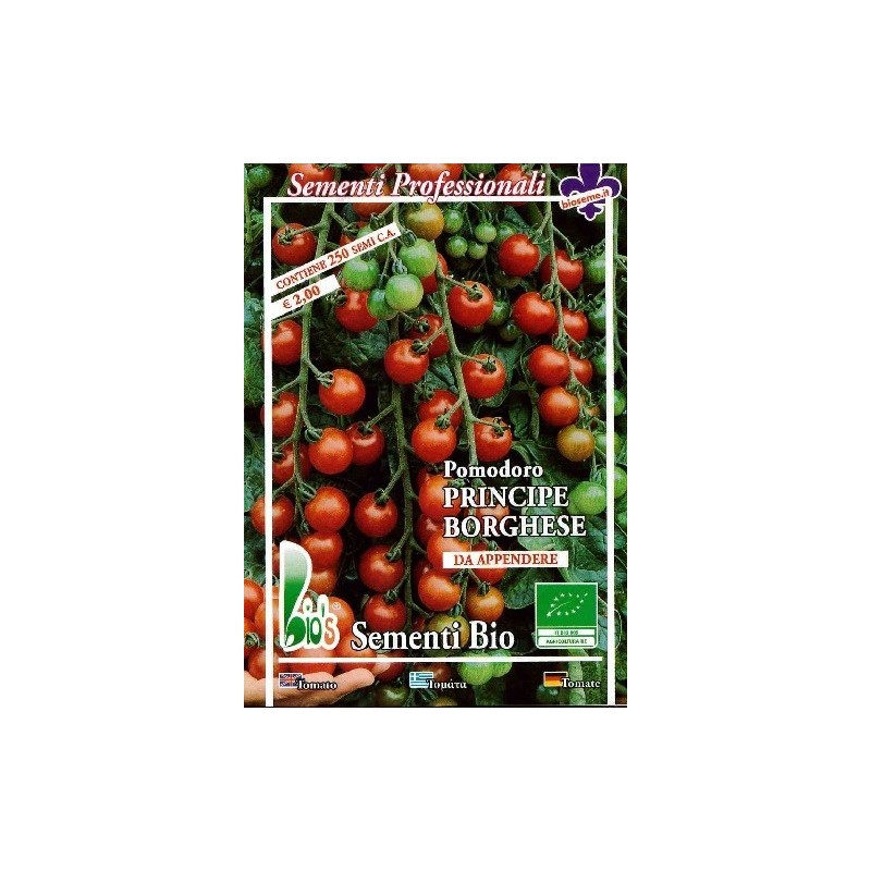 tomate prÃ­ncipe borghese - semillas ecolÃ³gicas