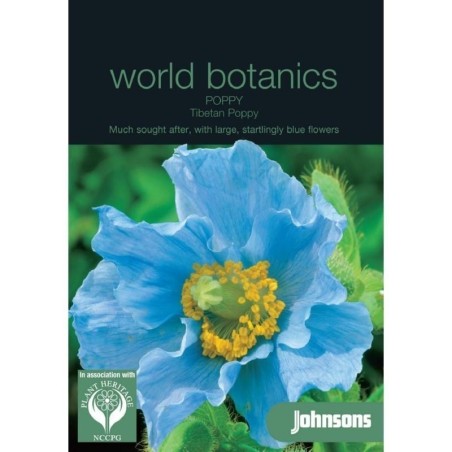 amapola tibetana (Meconopsis betonicifolia)