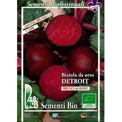 remolacha Detroit semillas ecolÃ³gicas