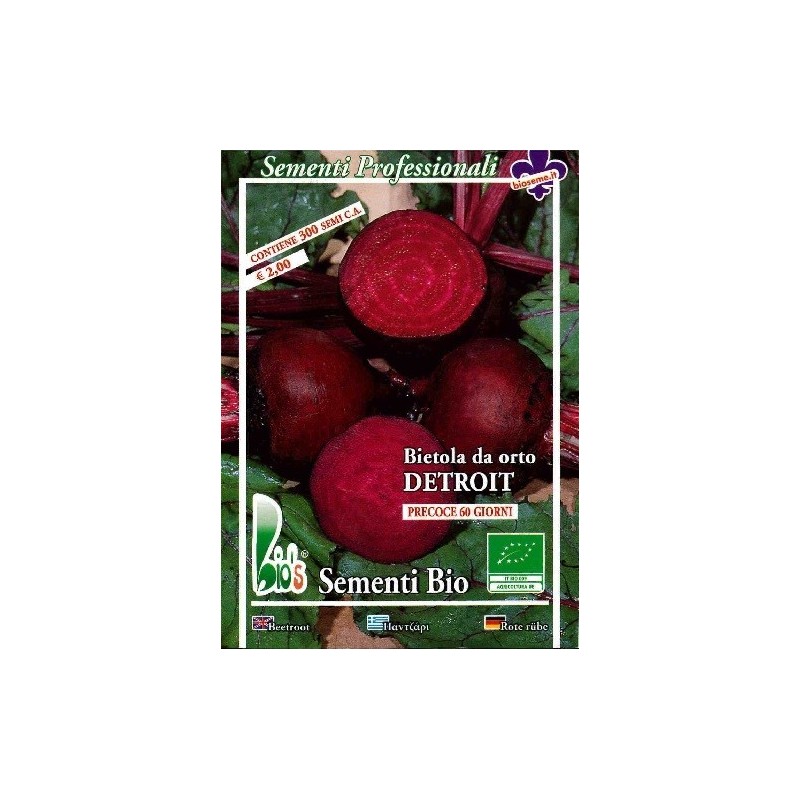 remolacha Detroit semillas ecolÃ³gicas