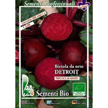 remolacha Detroit semillas ecolÃ³gicas